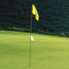 Power Chip - Golf Games